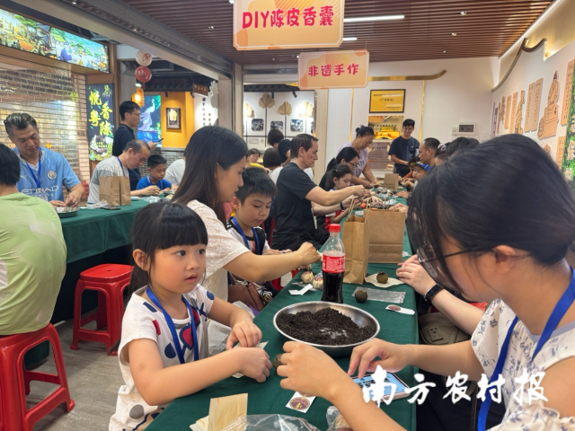 澳门亲子团参与柑普茶制作、陈皮三宝扎制作等项目。