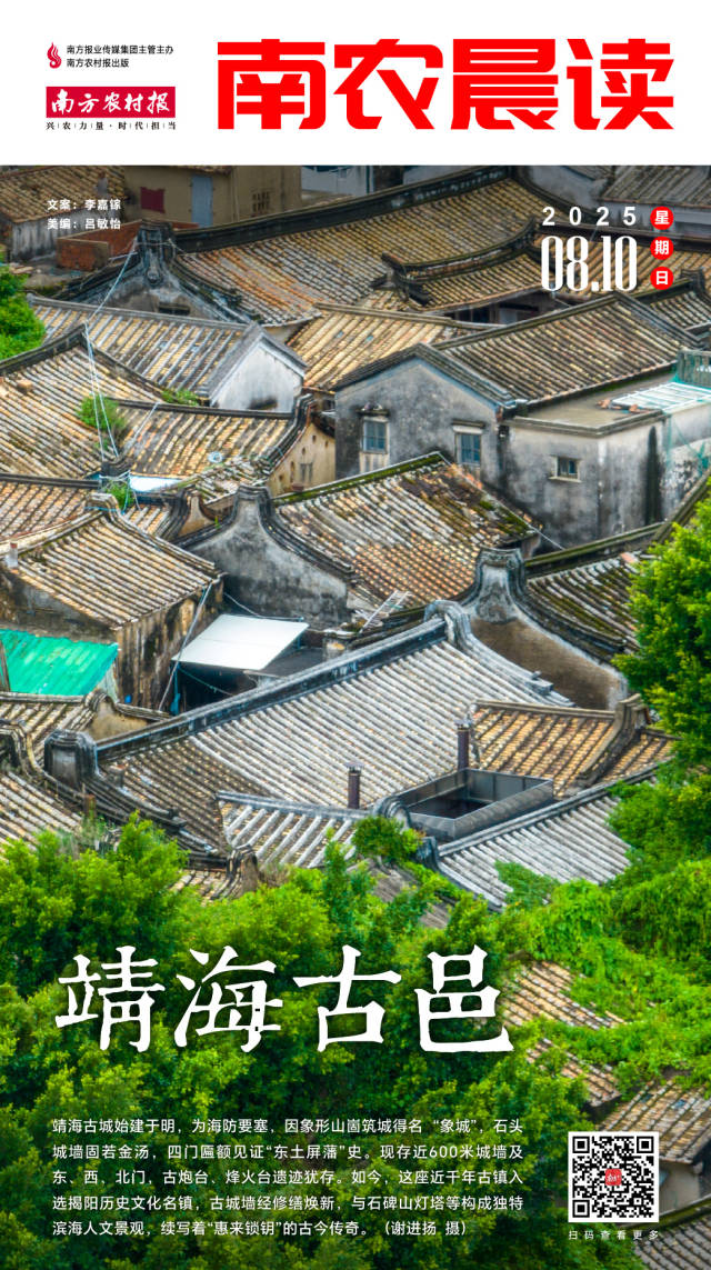 五里镇：800亩贝贝南瓜喜获丰收