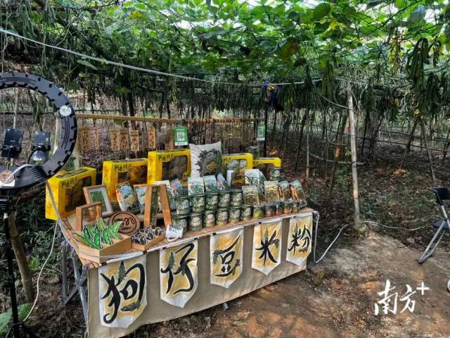   受访者 供图