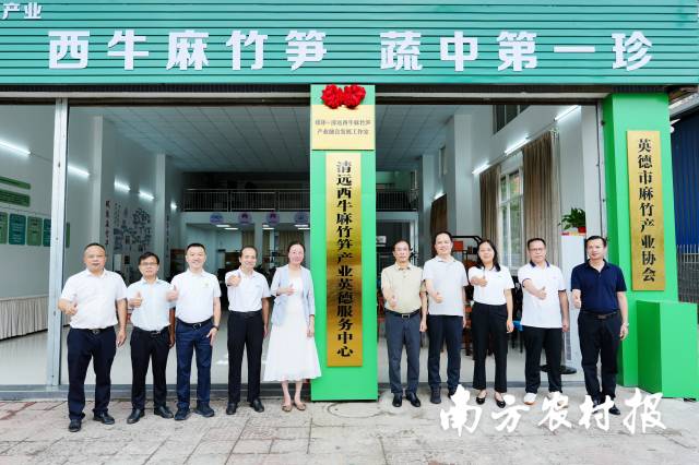 清远西牛麻竹笋产业社会化服务中心及媒体+清远西牛麻竹笋融合发展工作室在英德揭牌成立