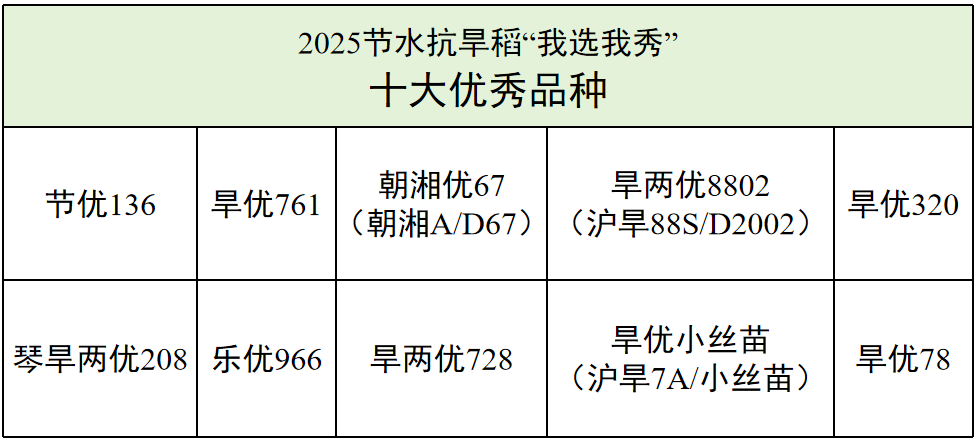 受访者供图