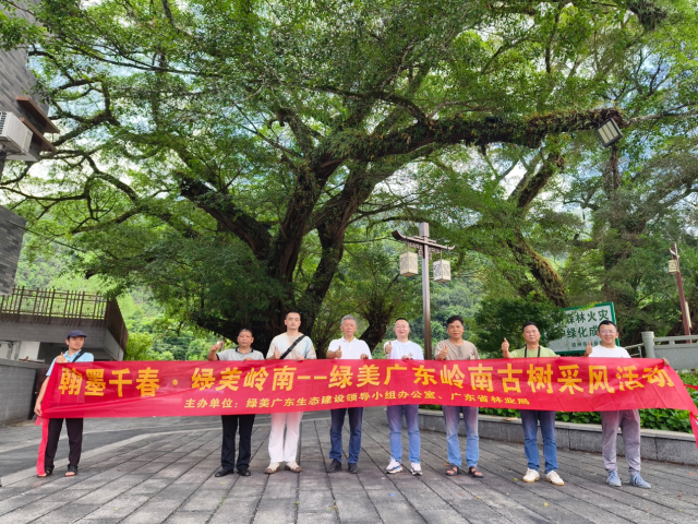 8月9日下午，画家们在连州市瑶安瑶族乡探寻“救人树”。