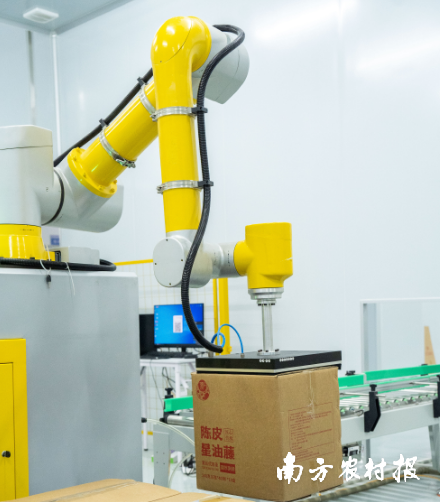 宁明丽宫粤桂生物工程有限公司引进全自动化设备生产陈皮星油藤茶。