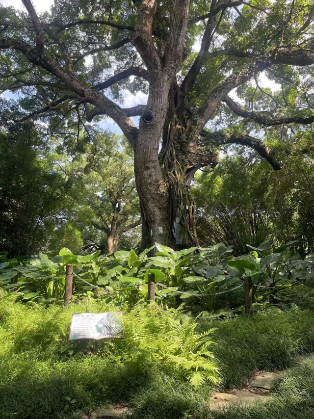 方正证券：小型微盘股估值存在上升潜力 后续结构性机会应关注