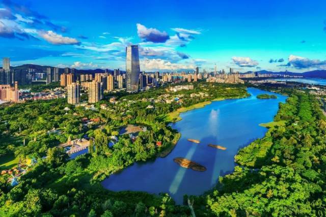 《美丽的华侨城湿地》 欧阳勇 摄