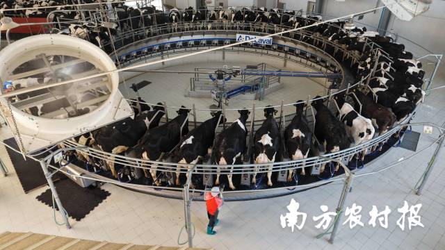 高盛向客户推荐千禧管理公司的股份 投资门槛为100万美元