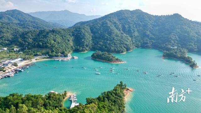 7月5日至15日，万绿湖接待游客约18.8万人次、增长58.8%，游客数量媲美“五一”黄金周。