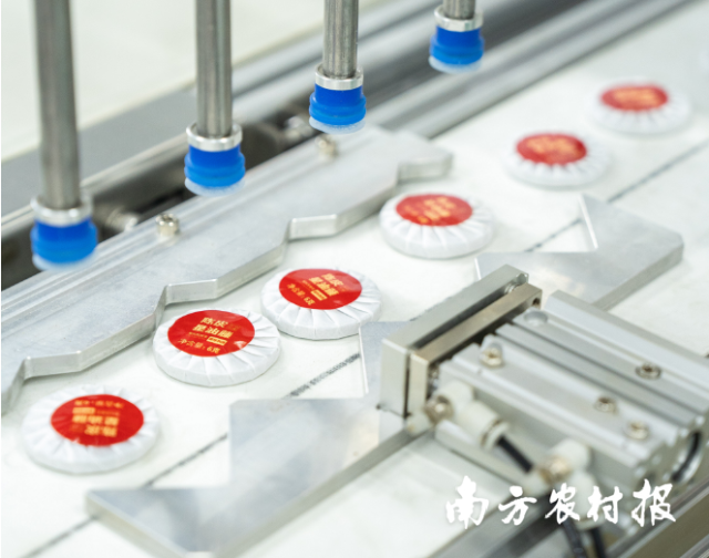 宁明丽宫粤桂生物工程有限公司引进全自动化设备生产陈皮星油藤茶。