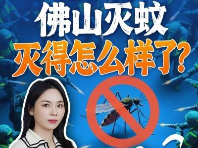 防疫满月，佛山灭蚊灭得怎么样了？｜叶·问