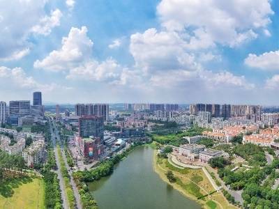 祝贺！狮山“冠军军团”再添11位猛将