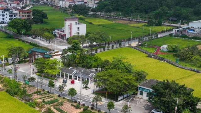 科技为翼，赋能乡村振兴｜中山“百千万”·每周荐