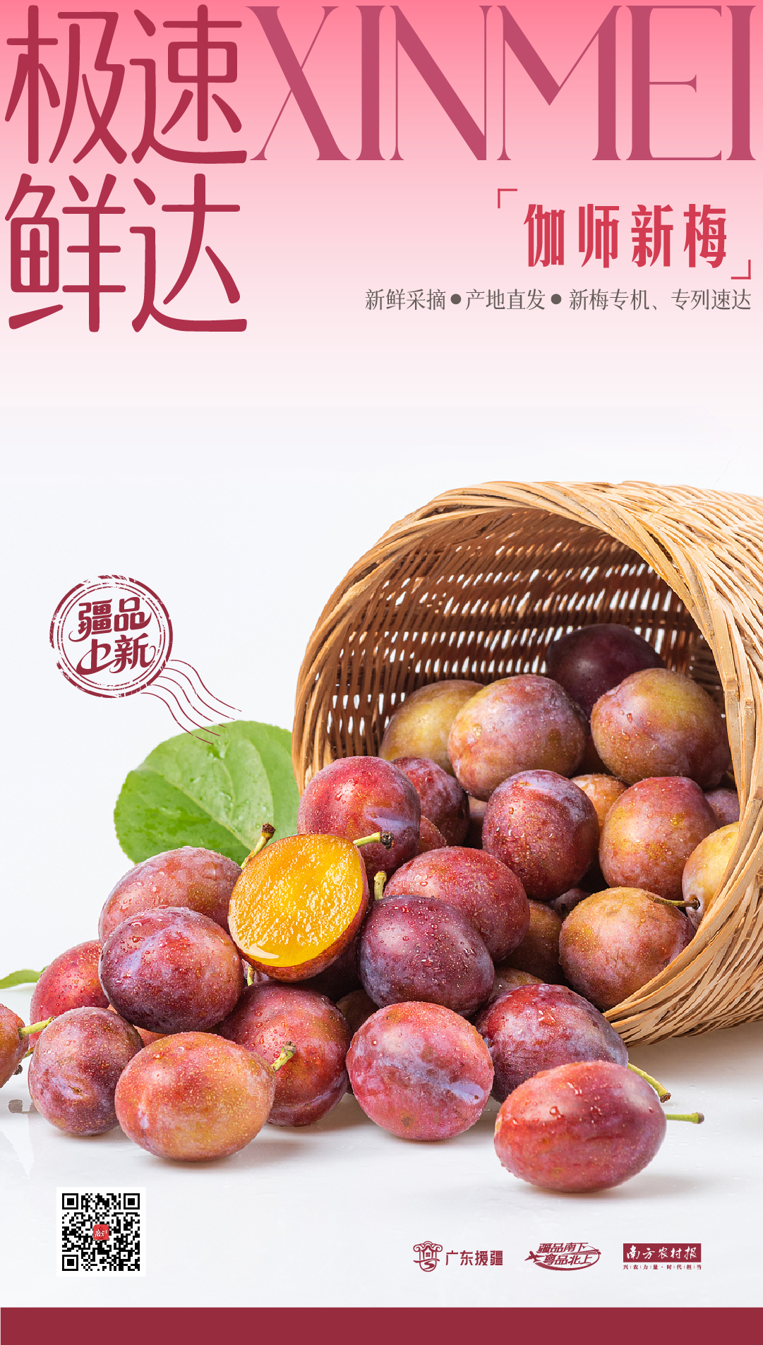 新鲜采摘，产地直发，新梅专机、专列速达。  