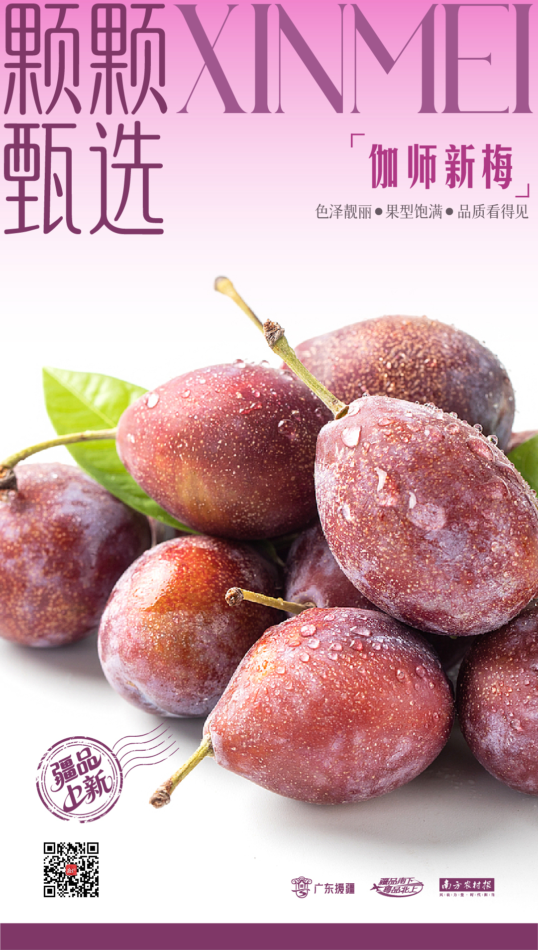 色泽靓丽，果型饱满，品质看得见。  