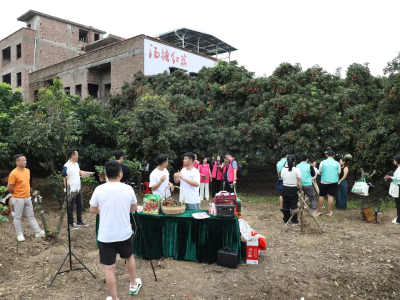 网络强村｜用好网络“新农具”，甜蜜盛夏清远瓜果好“钱”景