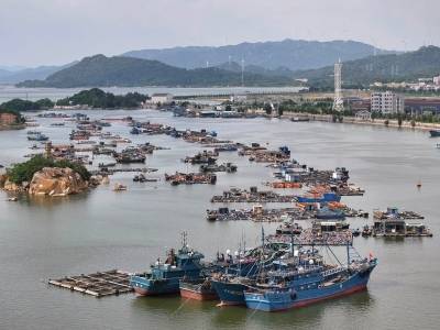 台风“杨柳”逼近，探访潮州饶平柘林一线防风现场