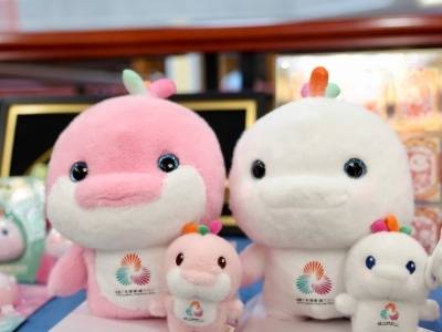 十五运会澳门赛区如何购票？攻略来了