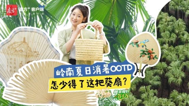 在《长安的荔枝》取景地，挑战做一把葵扇 | 粤来粤好百千万