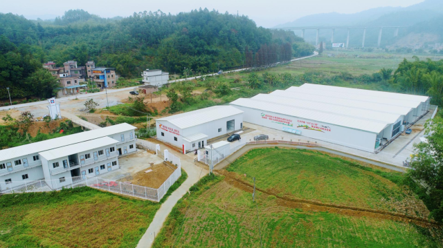 广宁县以洲仔镇肉鸽产业示范基地。