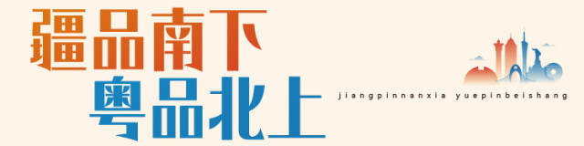 伽师新梅:内心柔软的INTJ