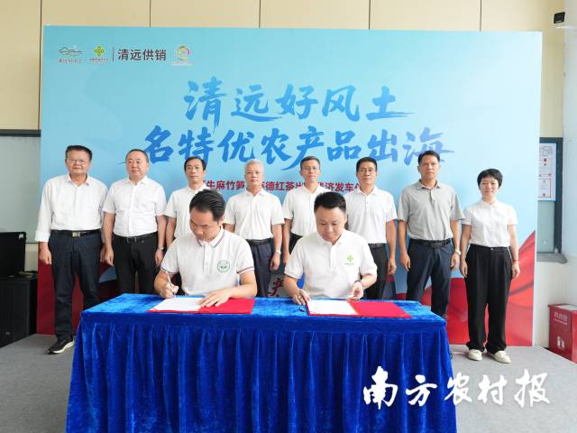 清远市供销投资有限公司还与斐济清远联谊协会签订清远优质农产品出口斐济合作框架协议。