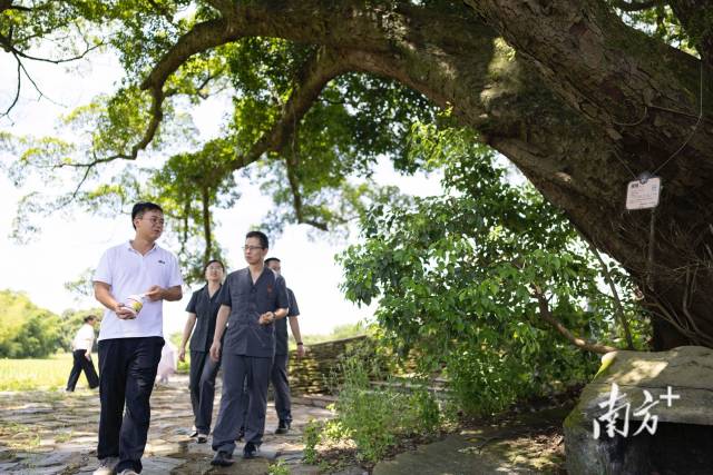 奇富科技(03660)2025年二季度财报：营收52亿元，环比增长11.2%
