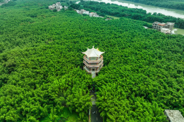 广宁观竹楼。图源广宁发布