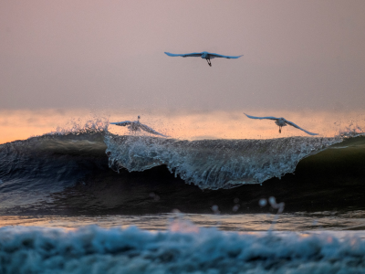 汕尾领“鲜”｜海洋摄影专题分享会，快来占个座！