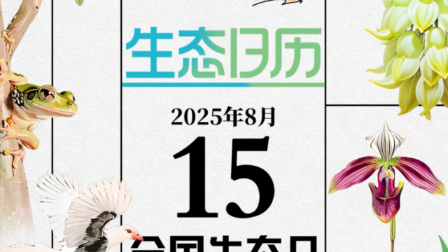 生态日历｜行走山林，踏进一幅岭南画卷