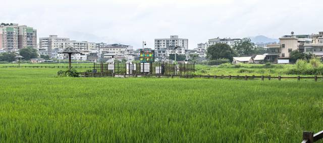 南方农村报 任亚航 拍摄