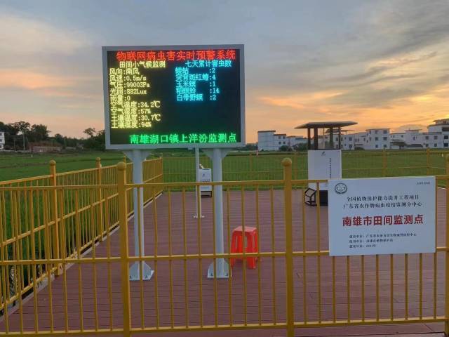 南方农村报 任亚航 拍摄