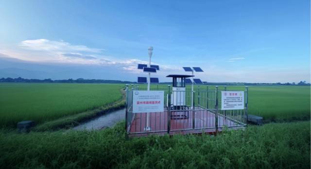 南方农村报 任亚航 拍摄