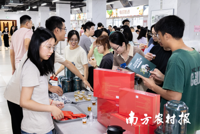 陈皮星油藤健康品鉴活动走进南方报业传媒集团职工食堂受热捧。