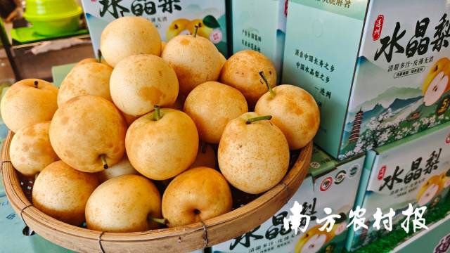 身着统一“战袍”，平均年龄60多岁的佛山太极老友们组团来看开渔节