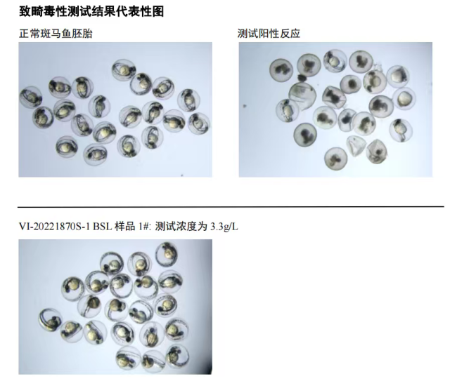 通讯员 袋鼠妈妈,袋鼠妈妈 供图