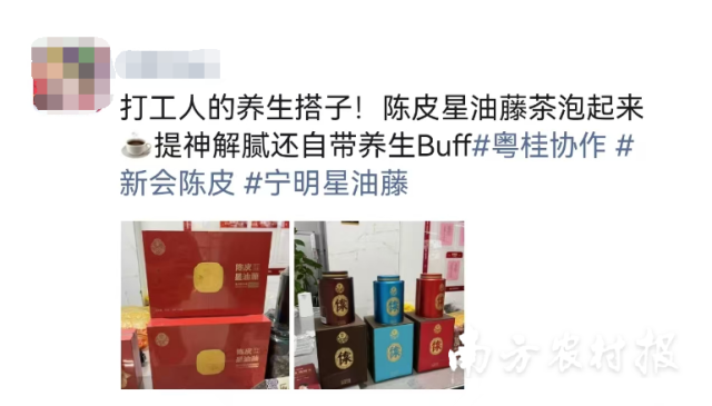 南方报业职工发朋友圈为陈皮星油藤打call。