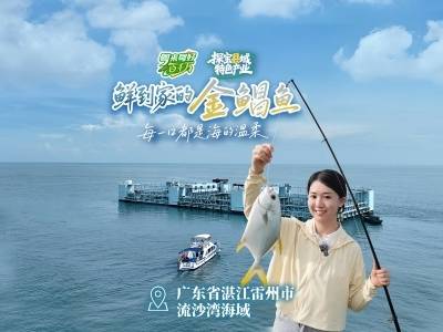 老广在海洋牧场养的金鲳鱼，味道有多鲜？| 粤来粤好百千万