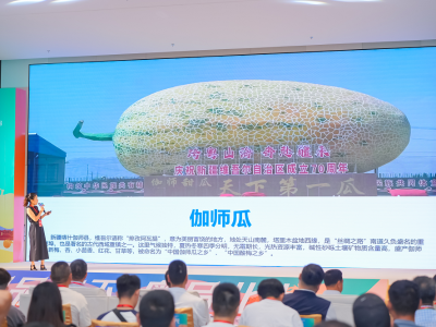 南疆红：深耕全产业链，让伽师瓜的甜直抵湾区