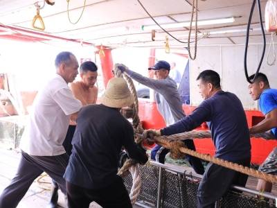 汕尾领“鲜”｜千帆蓄势！渔民整装待发奔赴深蓝