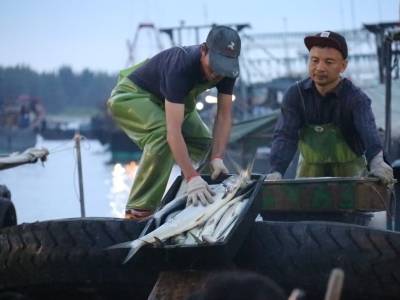 汕尾领“鲜”｜汕尾如何“鲜”声夺人