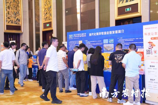 2025年湛江开渔文化嘉年华暨“百千万工程”海鲜产品推介活动现场。南方农村报 蓝东旭 拍摄