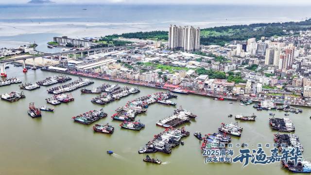 千艘渔船在博贺渔港静候出海。南方农村报 吴秒衡 拍摄