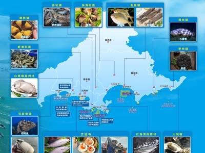 汕尾领“鲜”| “海鲜自由”来啦！官方地图邀您共品“汕尾海鲜”