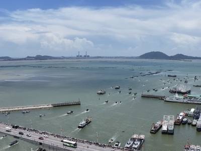 视频｜开渔啦！茂名博贺600余艘渔船“闯”深海，游客狂打卡！