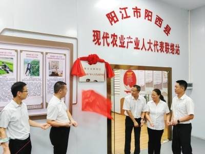 助力产业发展、推动营商环境优化！市人大在程村镇举行联络站、联系点揭牌仪式