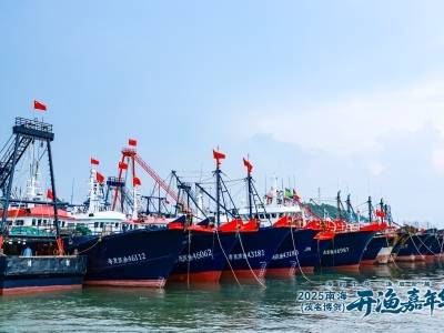 海鲜自由回来了！2025南海（茂名博贺）开渔啦！