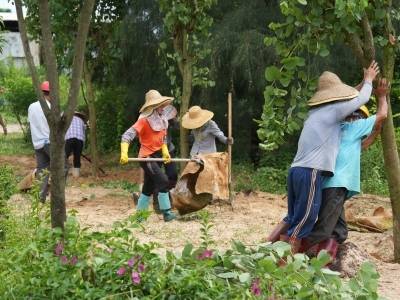茂名“有喜事来种树”，今天和渔民兄弟一起庆开渔！｜响亮打卡