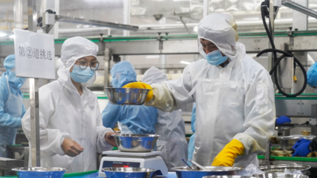 开渔启新程，鹰金钱海宝进军功能性食品赛道