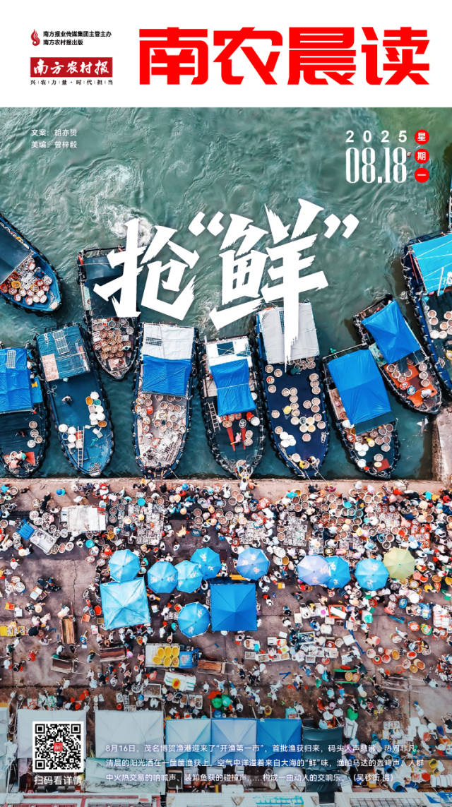 8月13日佛山市新增报告基孔肯雅热确诊病例96例