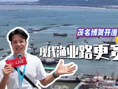 人间烟火看开渔：博贺渔港的风，吹宽现代渔业的路｜响亮打卡