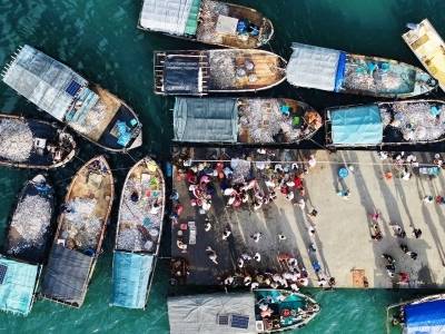 中国工程院院士张偲：打造“广东海鲜”品牌，做强海洋牧场